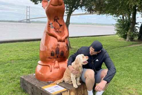 A Rat at Hessle Foreshore